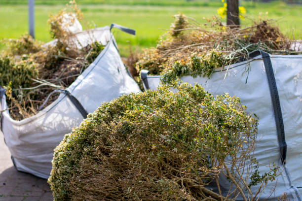 Debris Removal in Dewitt, MI