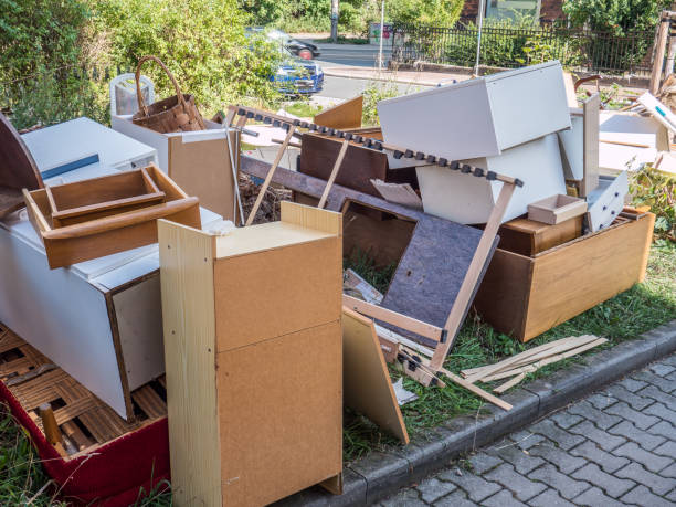 Best Professional Junk Removal  in Dewitt, MI