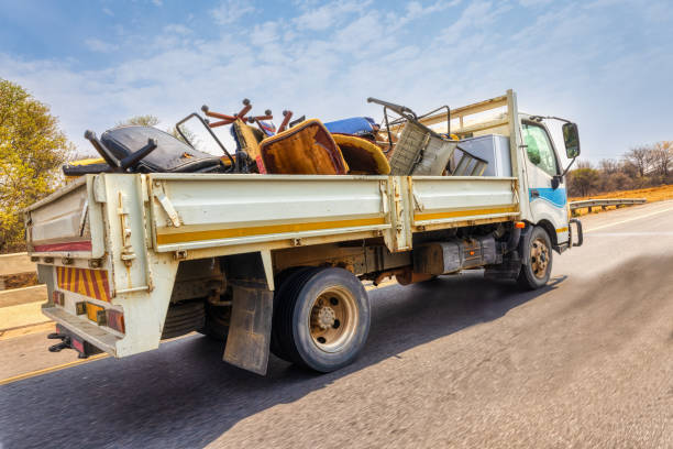 Best Yard Cleanup Services  in Dewitt, MI